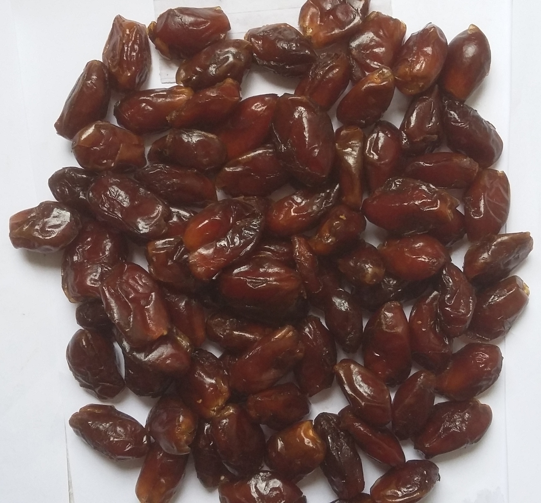 GAQ-Pitted-Aseel-Dates